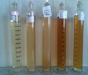新疆理化所 高端酯类系列润滑油研制 项目通过验收