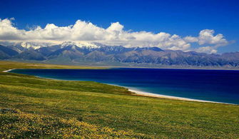 五月与八月的新疆伊犁 自由行中的生态足迹与环保思考