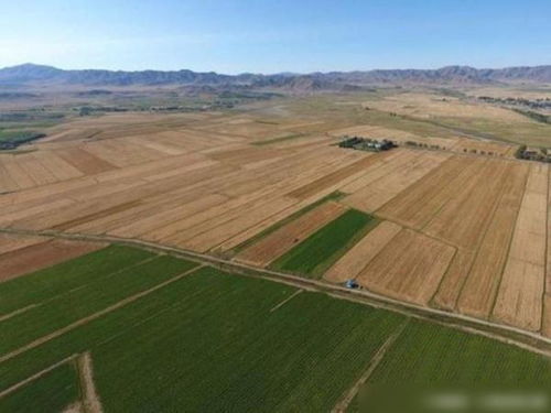 无人机镜头下的新疆环保 建设与发展中的生态保护