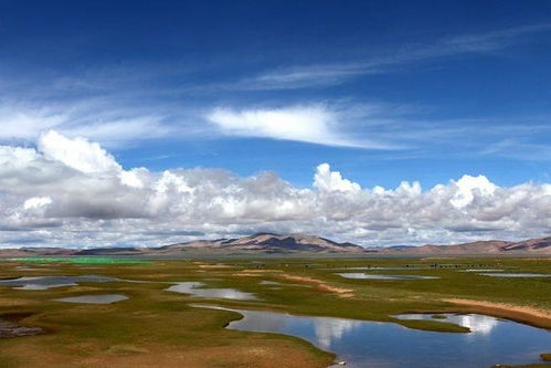 人间禁地可可西里 新疆环保的挑战与守护